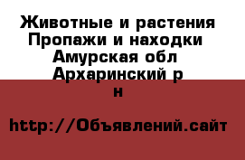 Животные и растения Пропажи и находки. Амурская обл.,Архаринский р-н